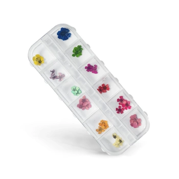 Small box of dried flowers for nail art - 12 colors