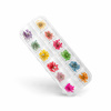 Box with dried flowers for Nail Art - 12 colors