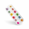 Scatola di fiori secchi per Nail Art 12 colori