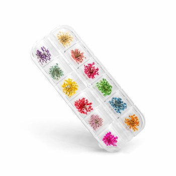 Scatola di fiori secchi per Nail Art 12 colori